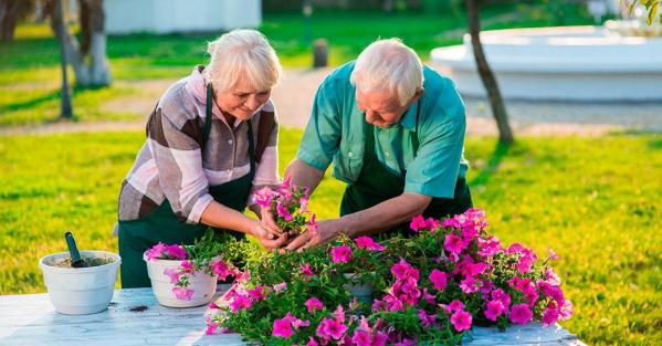 Jardin pour seniors