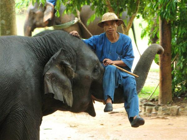Resilience et la guerison seniors