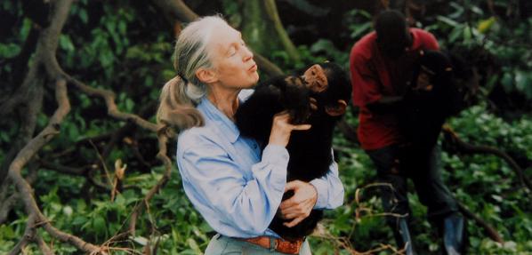 Respect de la vie par un senior